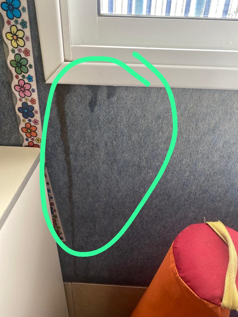 WhatsApp Image 2023-11-20 at 12.15.53.jpeg